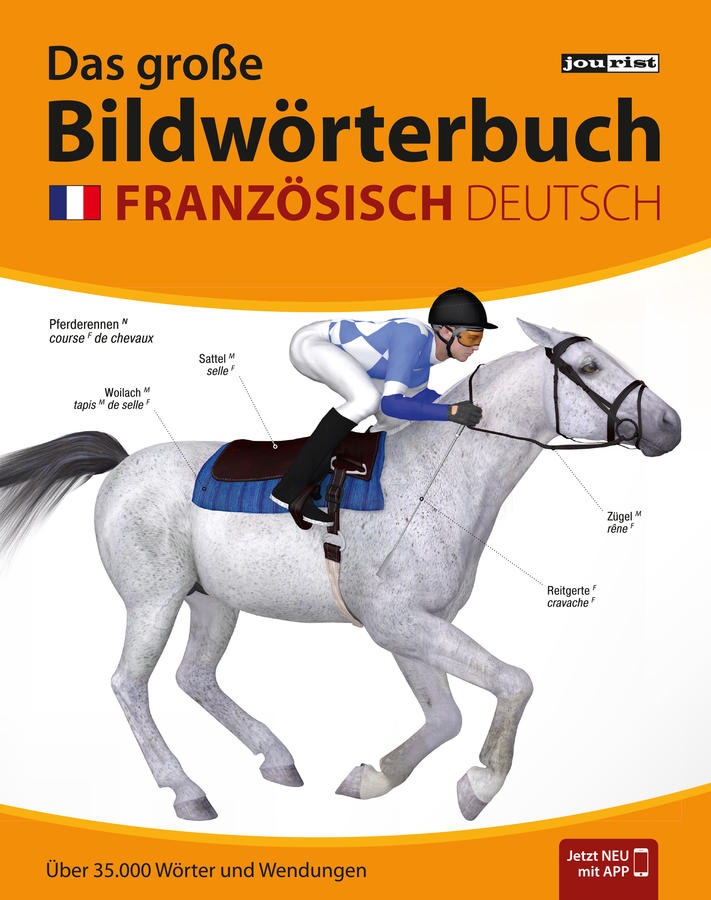Das große Bildwörterbuch Französisch-Deutsch
