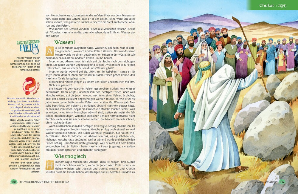 Die Wochenabschnitte der Tora. Band 4. Buch Bamidbar. Eine illustrierte Nacherzählung mit Midraschim.