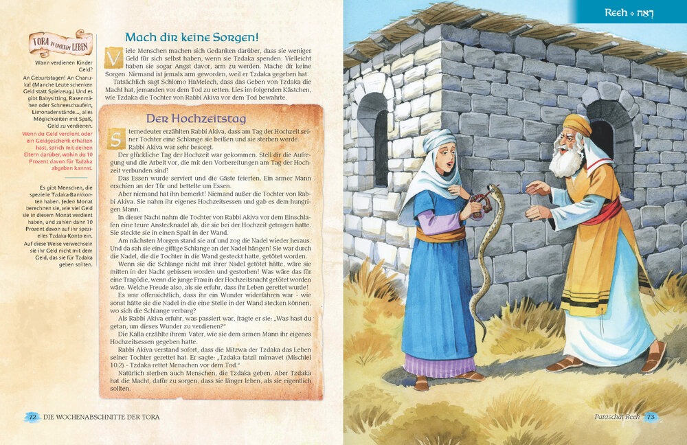 Die Wochenabschnitte der Tora. Band 5. Buch Dwarim. Eine illustrierte Nacherzählung mit Midraschim.